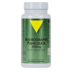 Andrographis Paniculata 500...