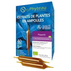 Pissenlit Bio - 40 ampoules...