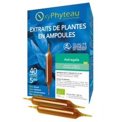 Astragale Bio - 40 ampoules...