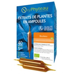 Bouleau Bio - 40 ampoules -...