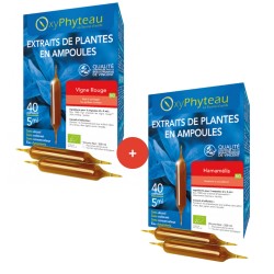 Circulation : vigne rouge +...