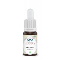 Chicorée (Chicory) - Elixir...