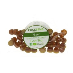 HIVER - GOM'BIO en sachet - Eolesens