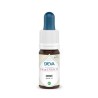 Orme (Elm) - DEVA - Elixir floral unitaire du Dr Bach
