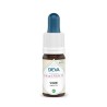 Vigne (Vine) - DEVA - Elixir floral unitaire du Dr Bach
