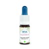 Violette d'eau (Water violet) - DEVA - Elixir floral unitaire du Dr Bach