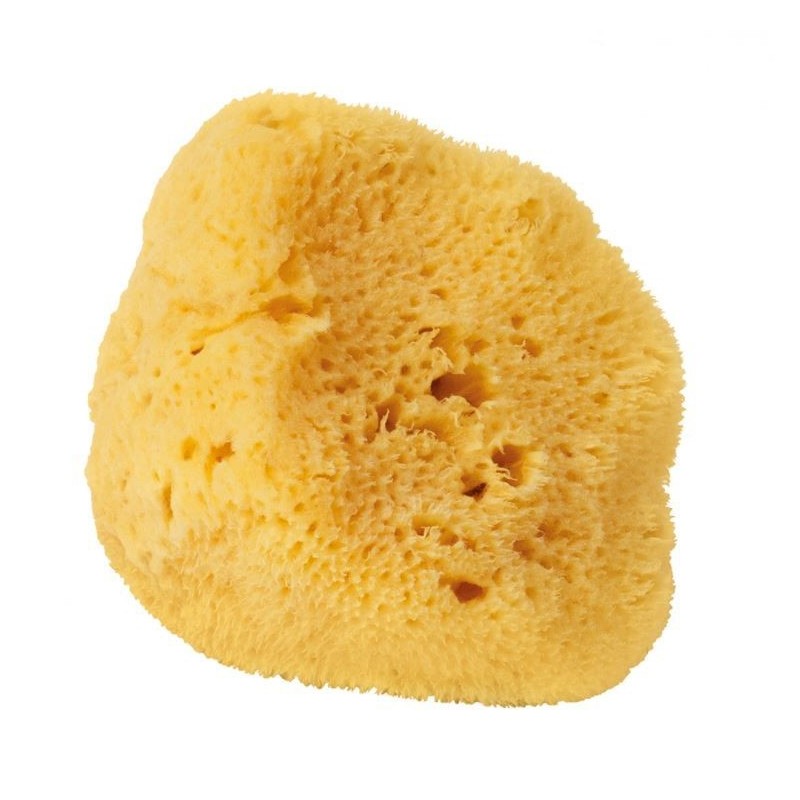 Eponge Naturelle de Bain - 10 cm - Croll & Denecke Eponge Naturelle de Bain - 10 cm - Croll & Denecke