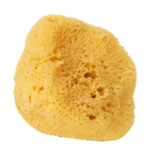 Eponge Naturelle de Bain - 10 cm - Croll & Denecke