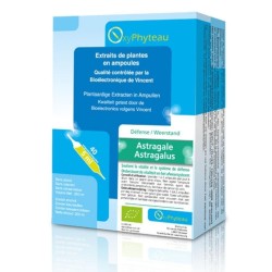 Astragale Bio en ampoules - Oxyphyteau