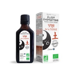 yin de la terre