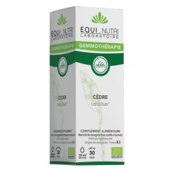 Cèdre bio - Gémmotherapie -...