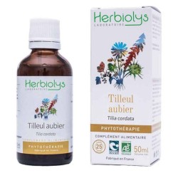 Tilleul aubier - Extrait de...
