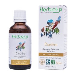 Cardère -  Extrait de...