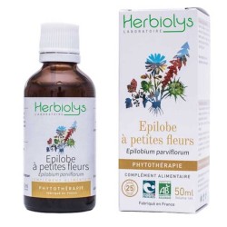 Épilobe à petites fleurs -...