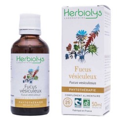 Fucus Vésiculeux - Extrait...