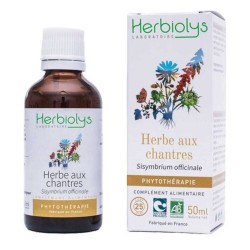 Herbe aux Chantres -...