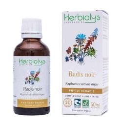 Radis noir bio - 50 ml -...