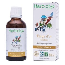 Solidage verge d'or bio -...
