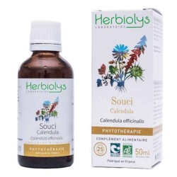 Souci / Calendula -...