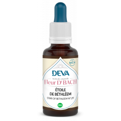 Étoile de bethléem (star of...