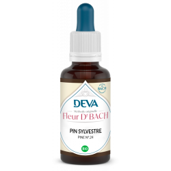 Pin sylvestre (pinus...