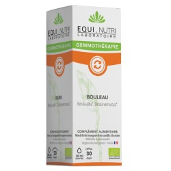 Bouleau blanc bio -...