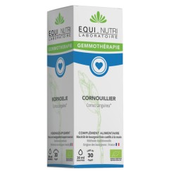 Cornouiller bio -...