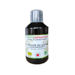 Renouée du Japon...