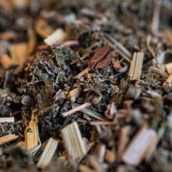 Reine des prés (Filipendula...