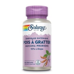 Pois à gratter - Mucuna...