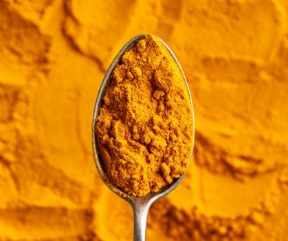 Produits à base de Curcuma - Elixanatur