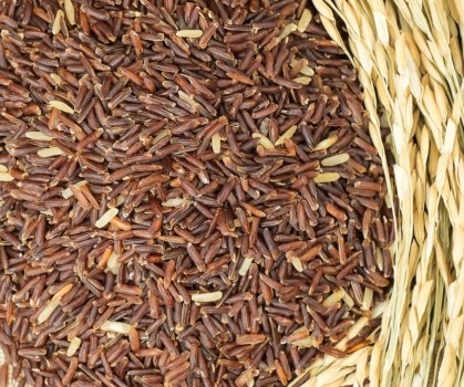 Produits à base de Gaba - Elixanatur