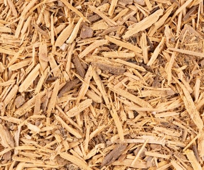 Produits à base de Muira Puama - Elixanatur