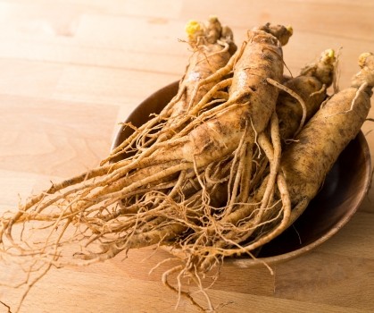 Produits à base de Ginseng - Elixanatur