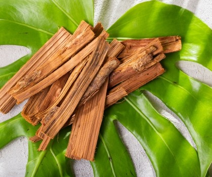 Produits à base de Griffe du chat - Elixanatur