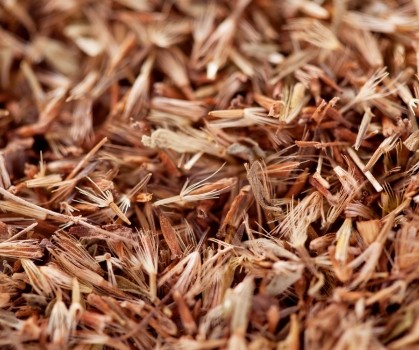 Produits à base de Palmarosa - Elixanatur