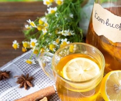 Produits à base de Kombucha - Elixanatur
