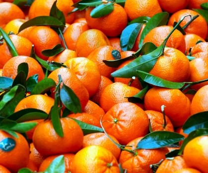 Produits à base de Mandarine - Elixanatur