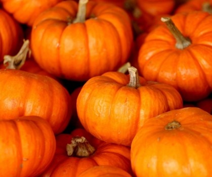 Produits à base de Courge - Elixanatur