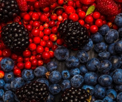 Produits à base de Resvératrol - Elixanatur