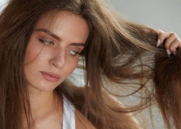 Cheveux Secs