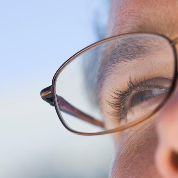 L'oeil et la vision