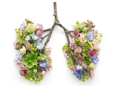 Le drainage des poumons